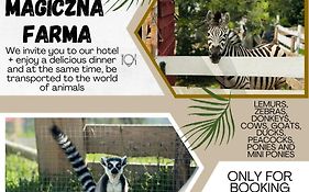 Magiczna Farma Hotel Obiady Mąka i Magia